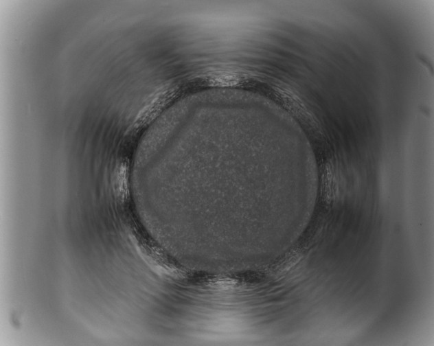X0000100190598200806201359