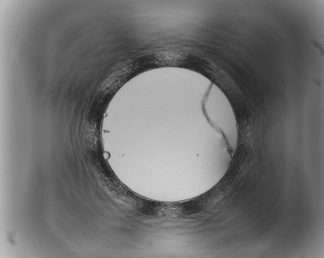 X0000100190599200806201359