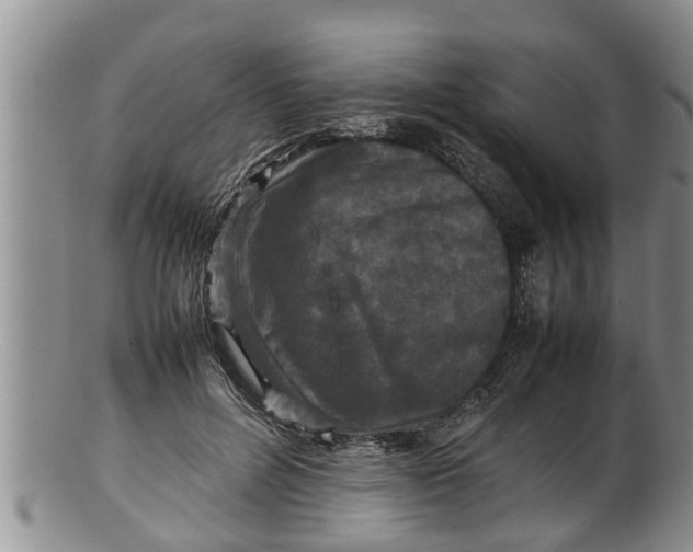 X0000100190600200806201359