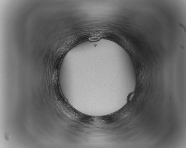 X0000100190601200806201359