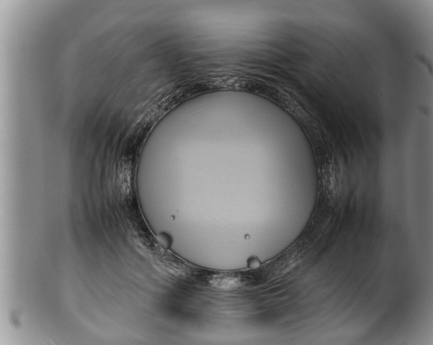 X0000100190602200806201359