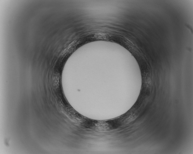X0000100190603200806201359