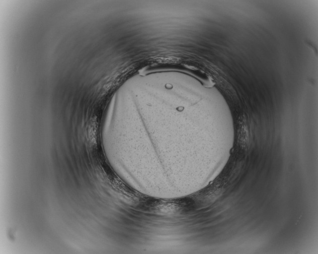 X0000100190604200806201359