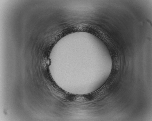 X0000100190605200806201359