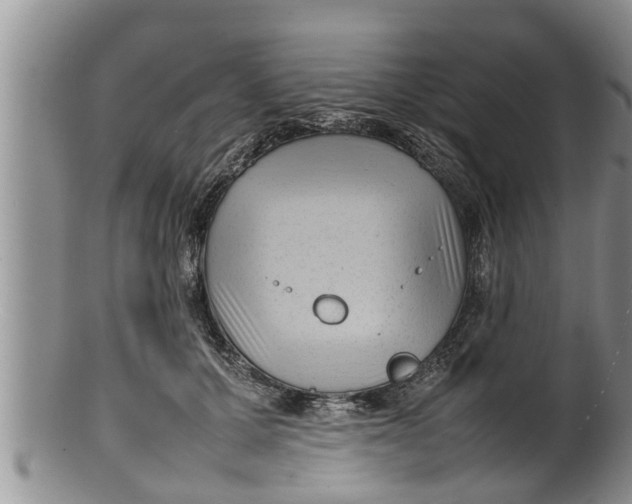 X0000100190607200806201359