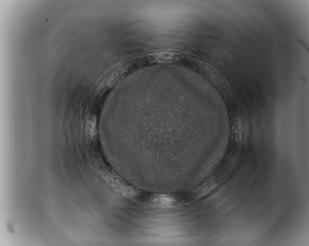 X0000100190610200806201359
