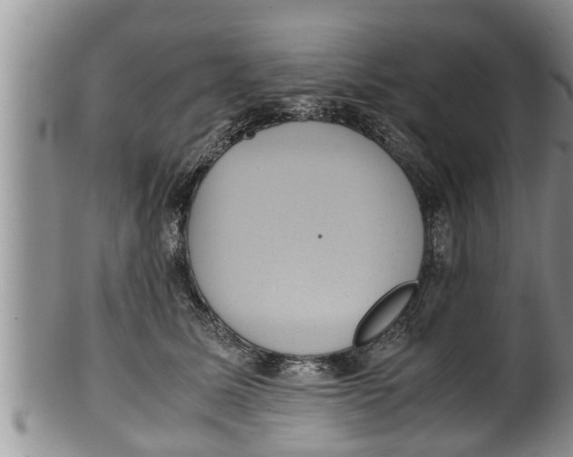X0000100190611200806201359