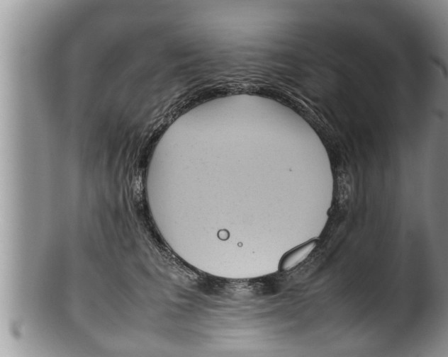 X0000100190613200806201359