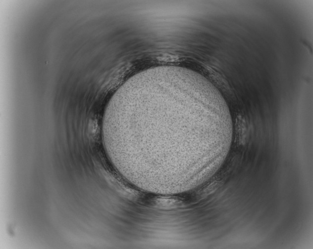 X0000100190614200806201359