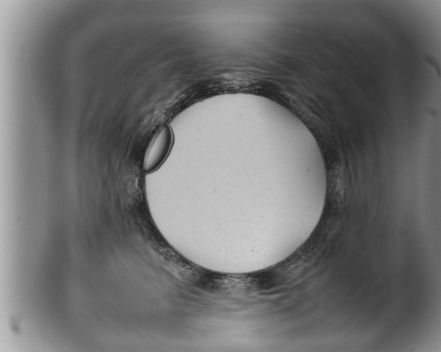 X0000100190615200806201359