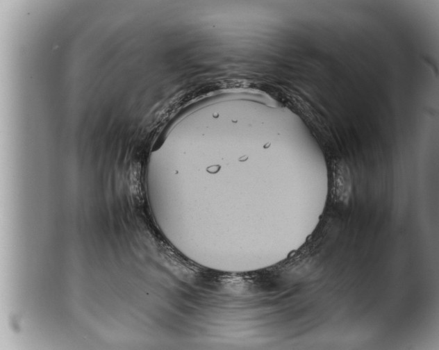 X0000100190616200806201359