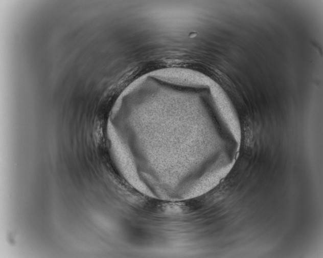 X0000100190618200806201359