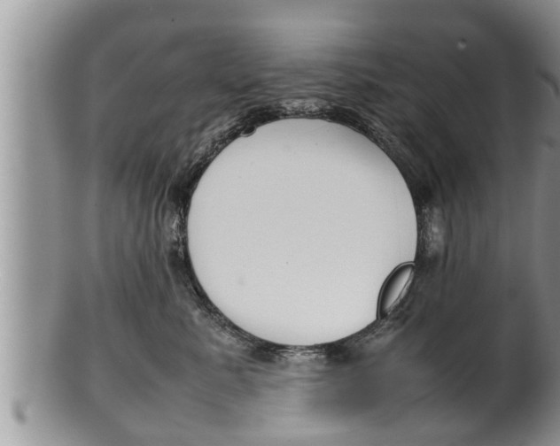 X0000100190619200806201359