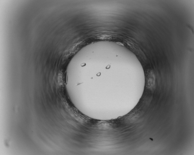 X0000100190620200806201359
