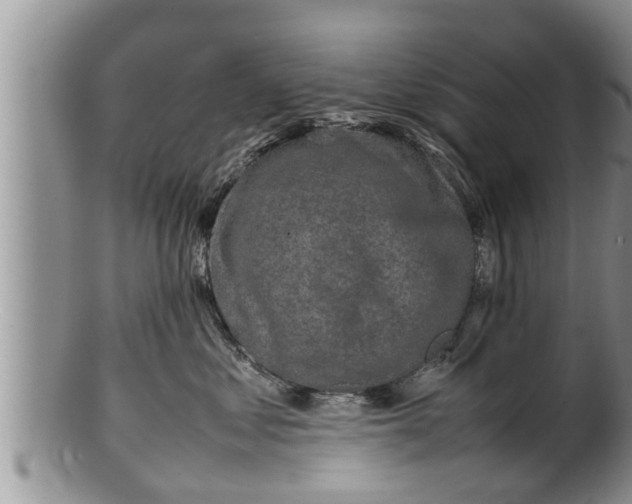 X0000100190621200806201359