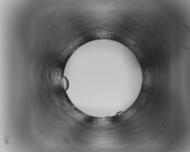 X0000100190622200806201359