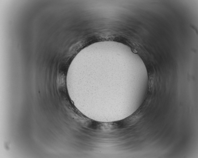 X0000100190623200806201359