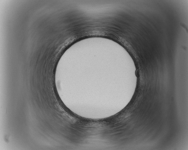 X0000100190625200806201358