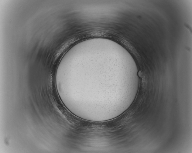 X0000100190626200806201358