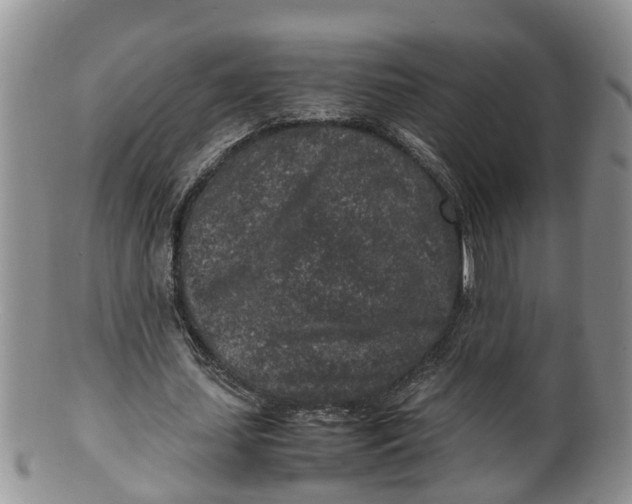 X0000100190627200806201358