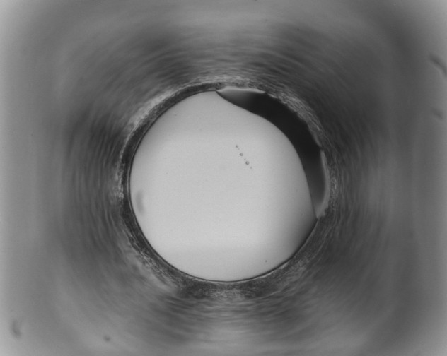 X0000100190628200806201358