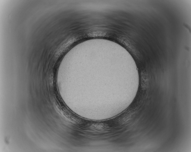 X0000100190631200806201358