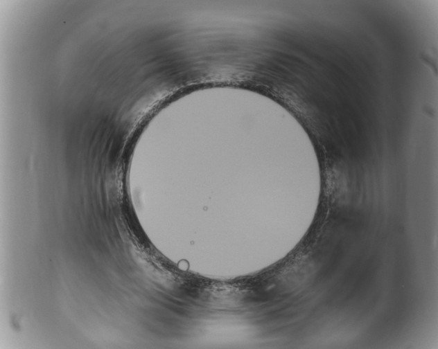 X0000100190632200806201358