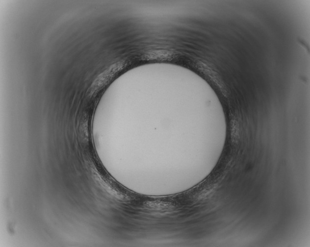 X0000100190633200806201358