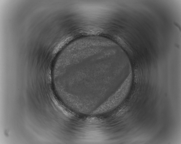X0000100190634200806201358