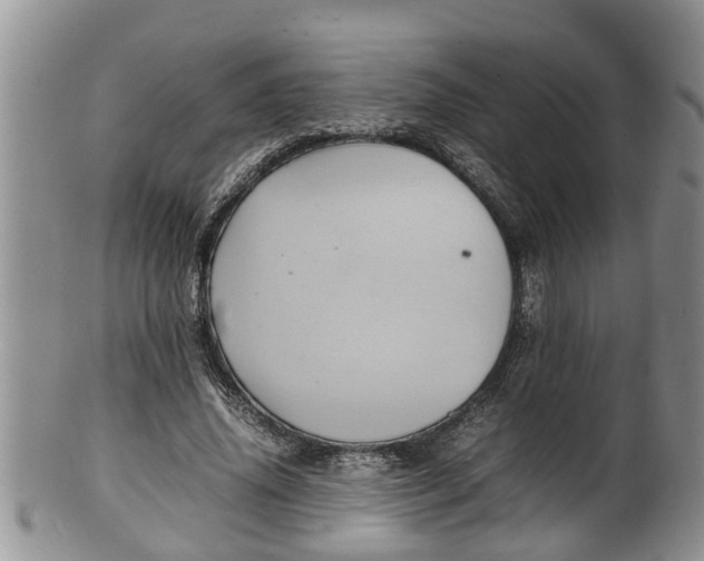 X0000100190636200806201358