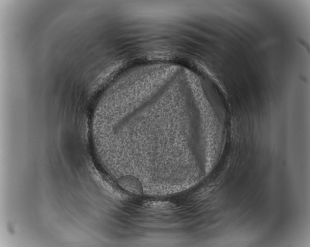 X0000100190637200806201358
