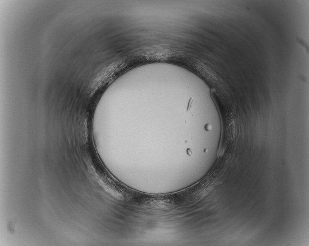 X0000100190638200806201358