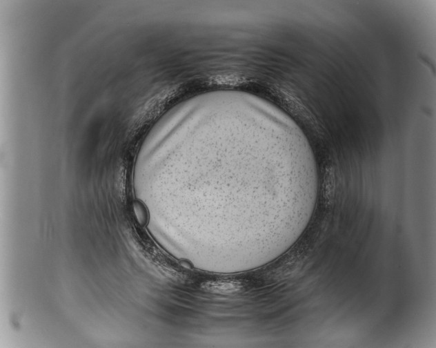 X0000100190639200806201358