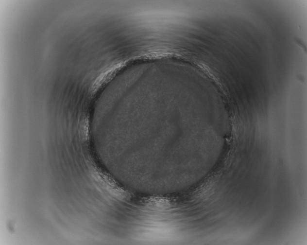 X0000100190640200806201358
