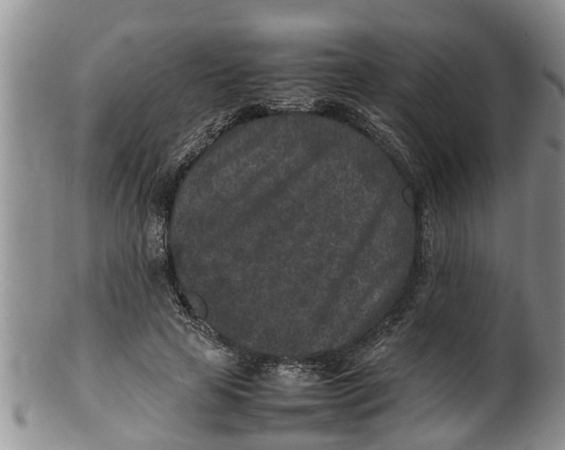 X0000100190641200806201358
