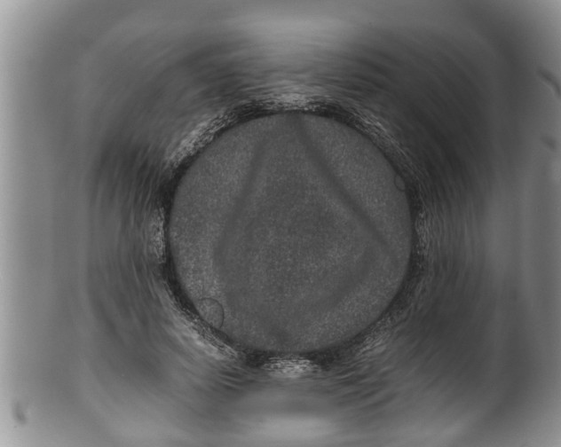 X0000100190642200806201358