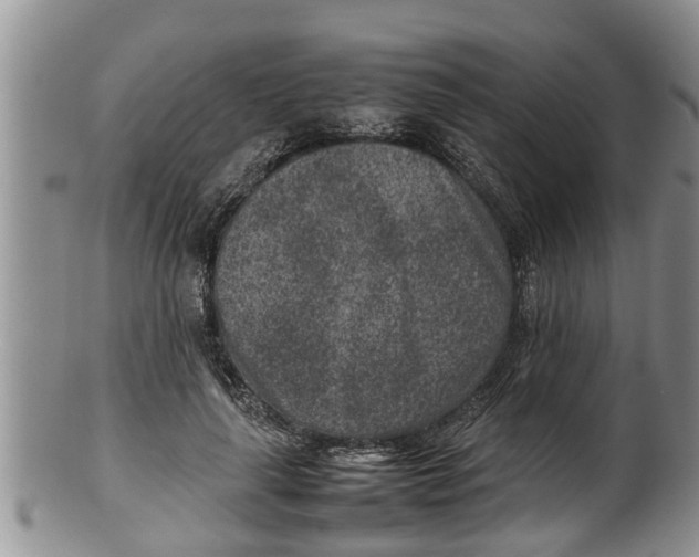 X0000100190643200806201358