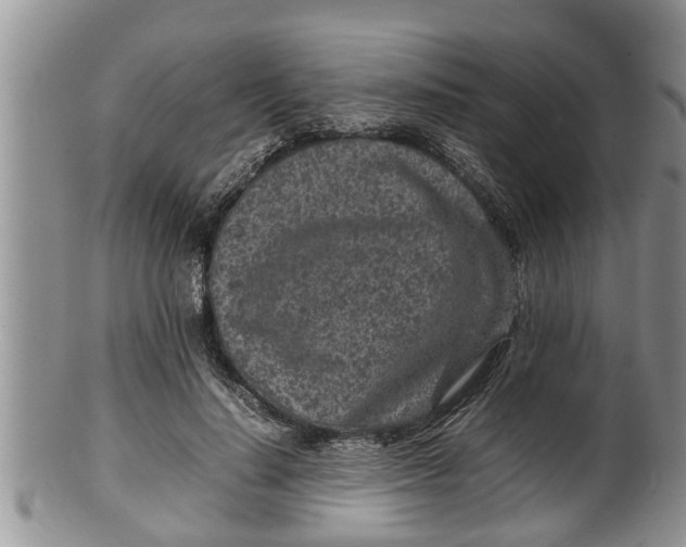 X0000100190644200806201358