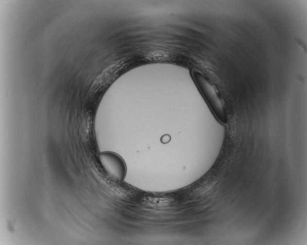 X0000100190645200806201358