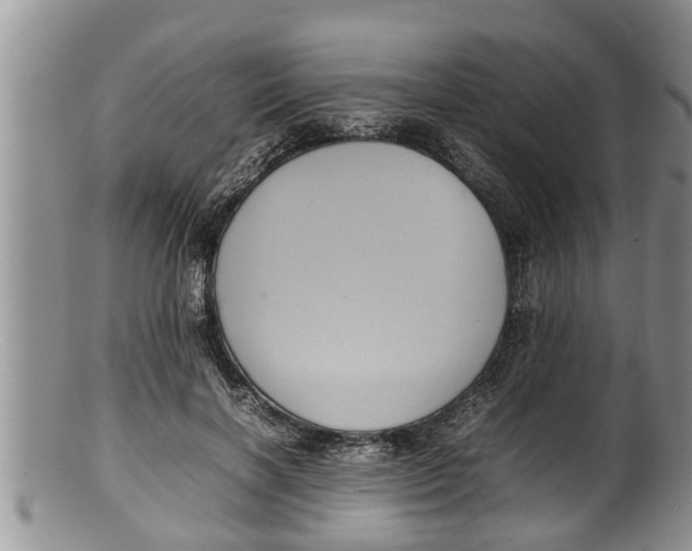 X0000100190646200806201358