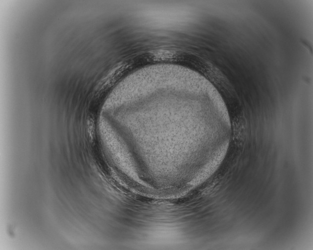 X0000100190648200806201358