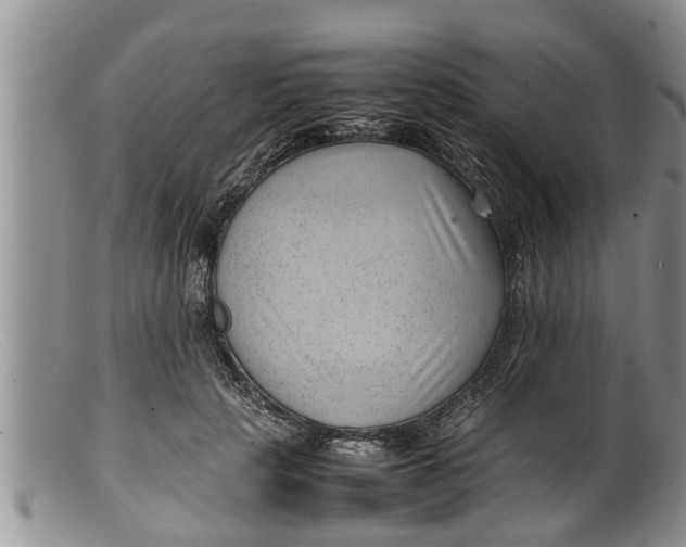 X0000100190649200806201358