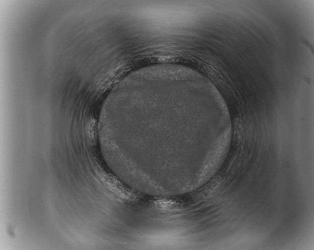 X0000100190650200806201358