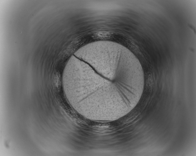 X0000100190651200806201358