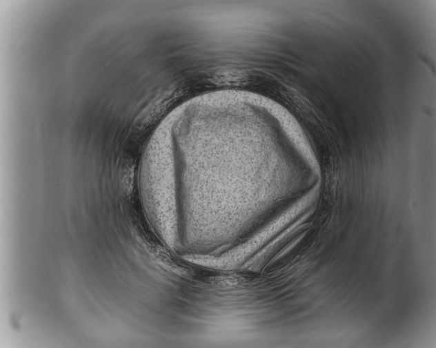 X0000100190652200806201358
