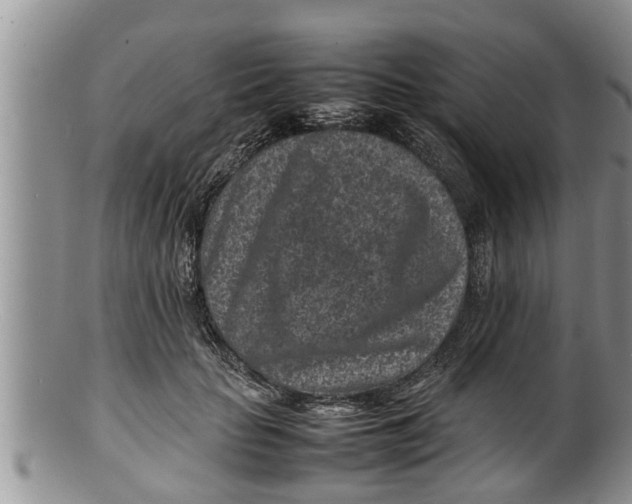 X0000100190653200806201358