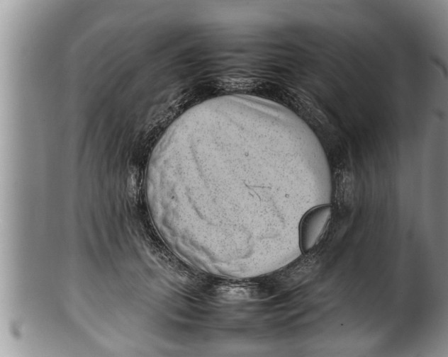 X0000100190655200806201358