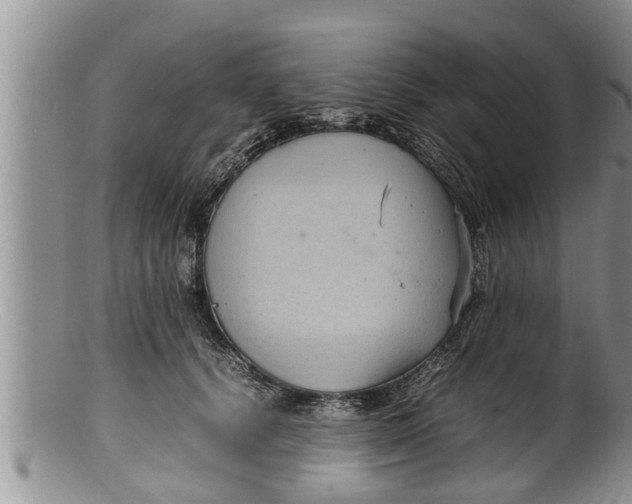X0000100190656200806201358