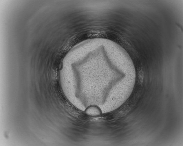 X0000100190657200806201358