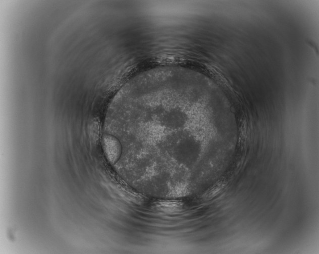 X0000100190659200806201358
